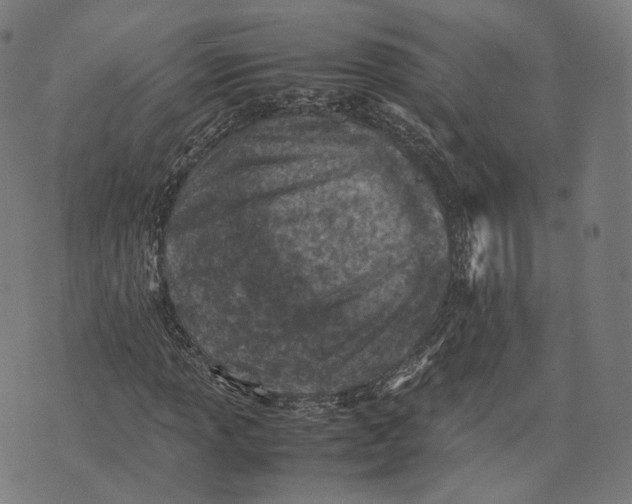 X0000074211013200609151551