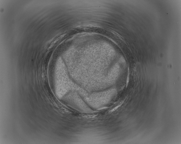 X0000074211014200609151551