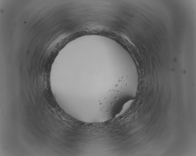 X0000074211016200609151551