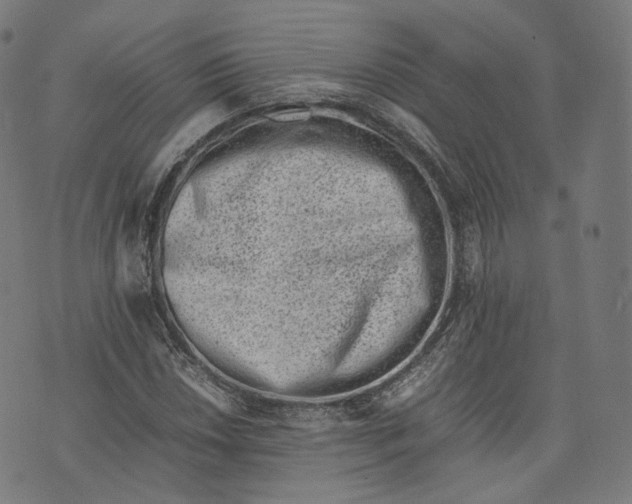 X0000074211018200609151551