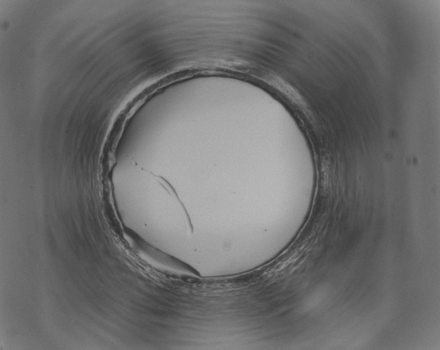 X0000074211020200609151551