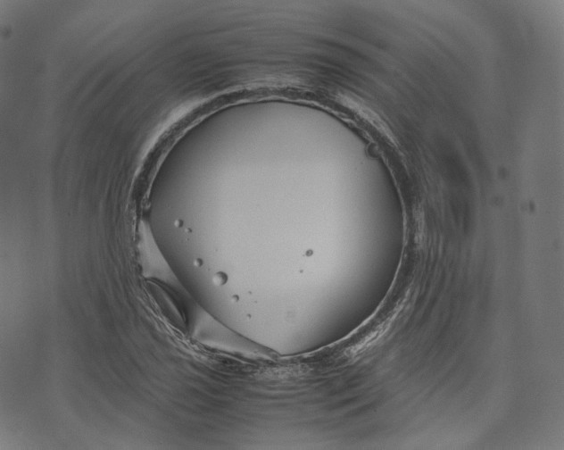 X0000074211021200609151551