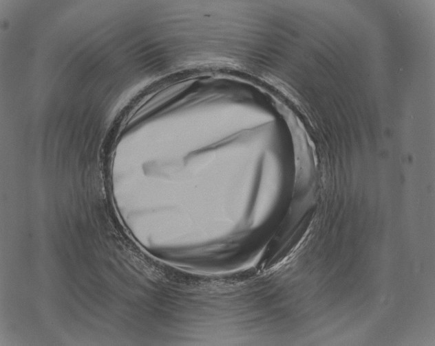 X0000074211022200609151551