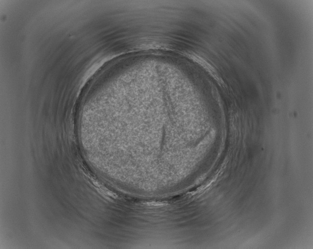 X0000074211023200609151551