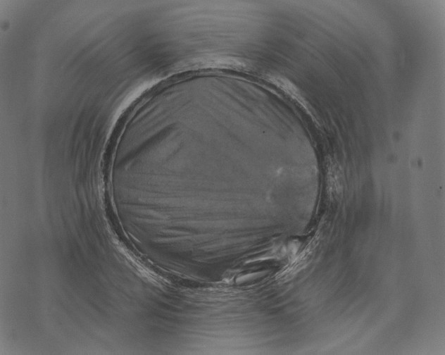 X0000074211024200609151551