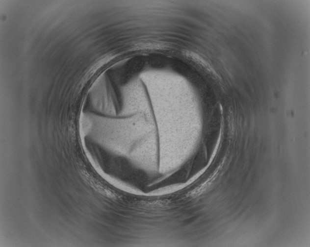 X0000074211025200609151551