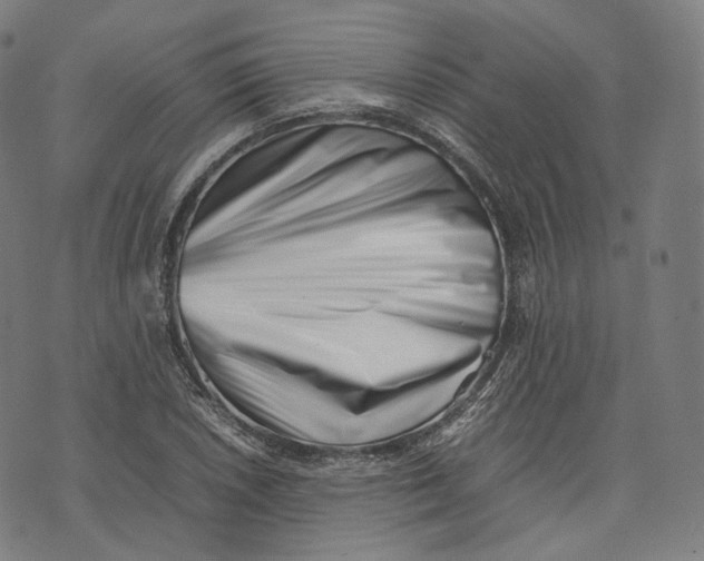 X0000074211026200609151551