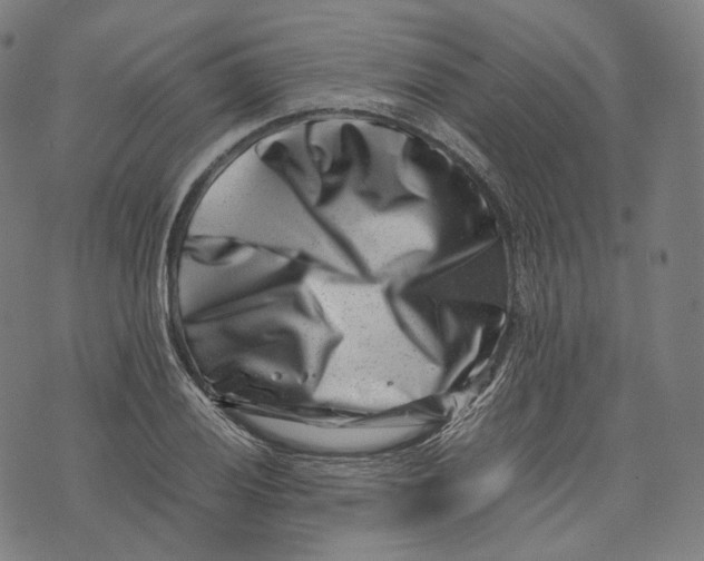 X0000074211028200609151551