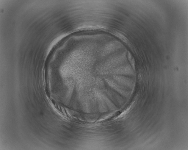 X0000074211030200609151551