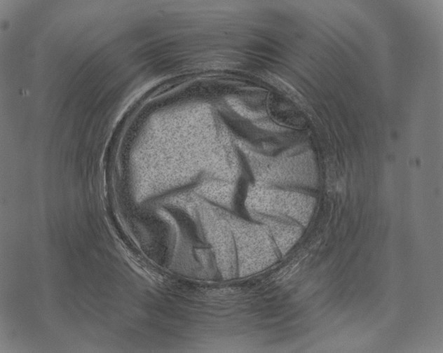 X0000074211031200609151551