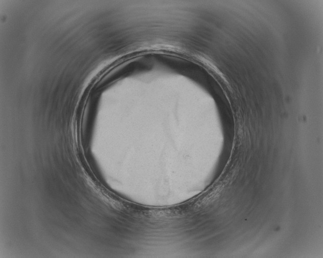 X0000074211032200609151551