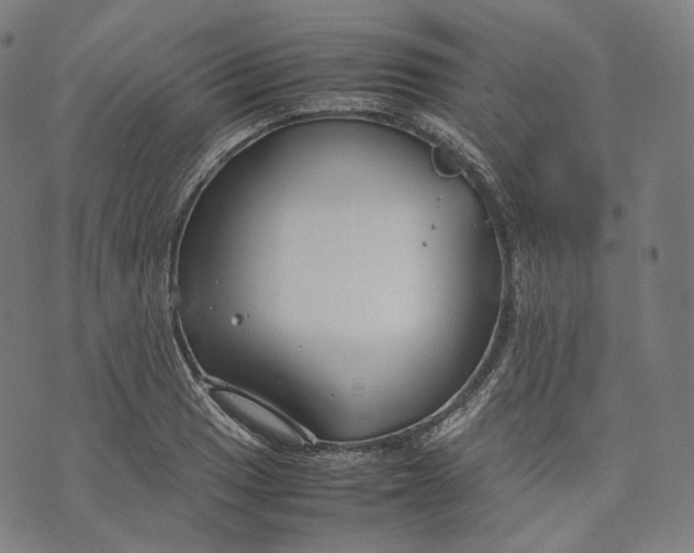 X0000074211033200609151551