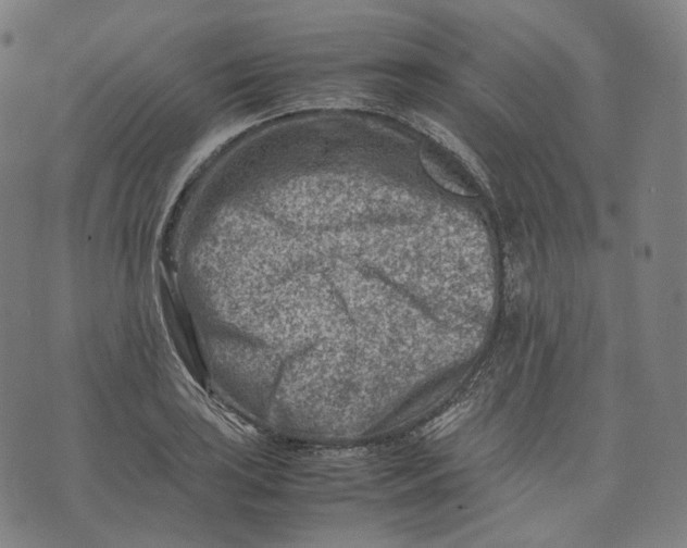 X0000074211035200609151551