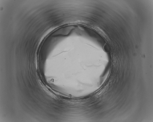 X0000074211036200609151551