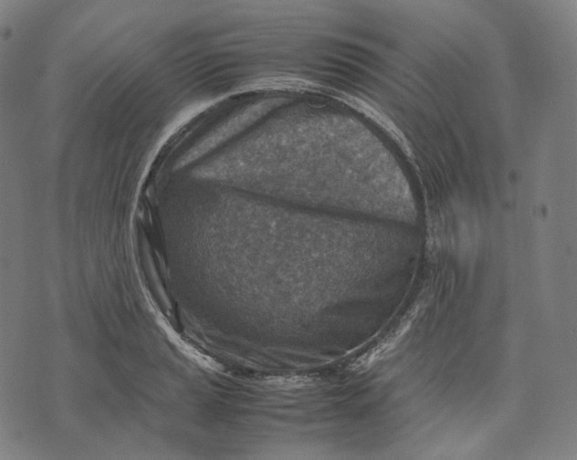 X0000074211037200609151551