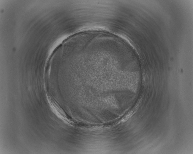 X0000074211038200609151551