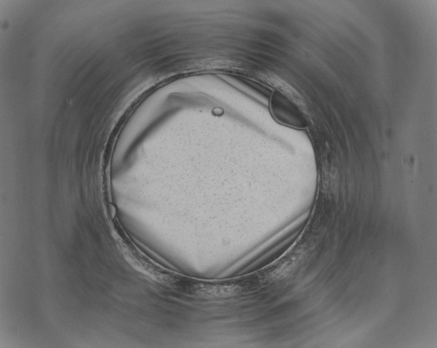 X0000074211039200609151551