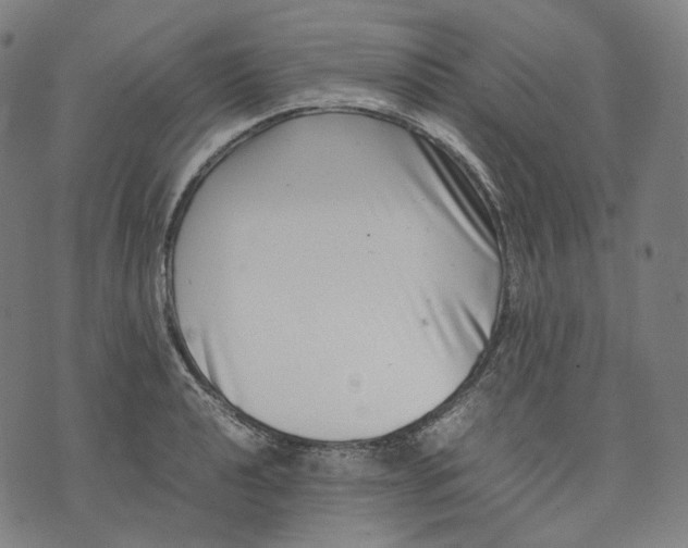 X0000074211040200609151551