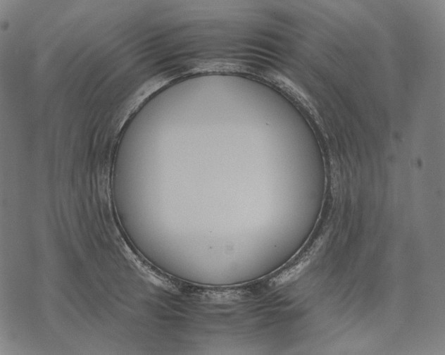 X0000074211041200609151551