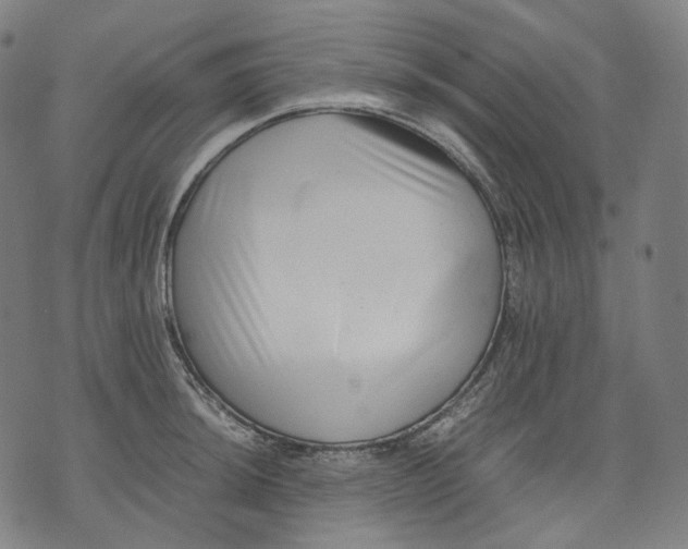 X0000074211044200609151551