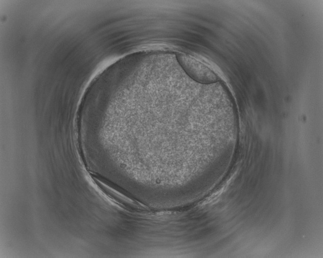 X0000074211045200609151551