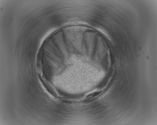 X0000074211046200609151551