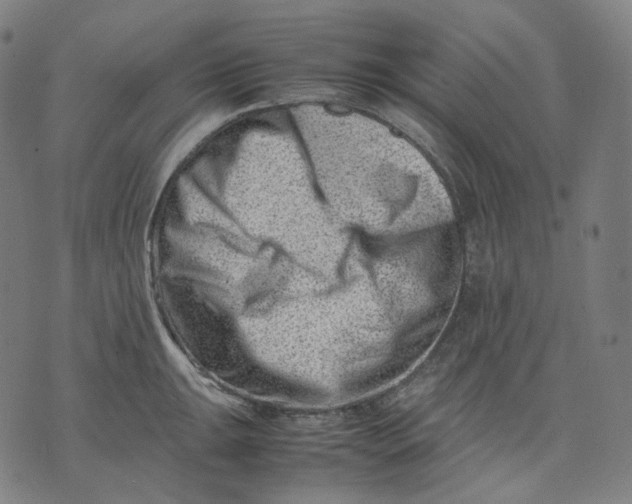 X0000074211047200609151551