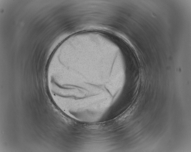 X0000074211048200609151551