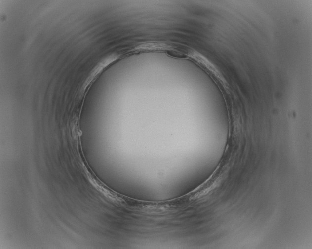 X0000074211049200609151551