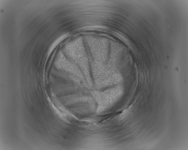 X0000074211050200609151551