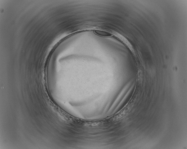 X0000074211051200609151551