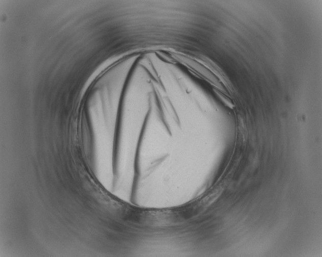 X0000074211052200609151551