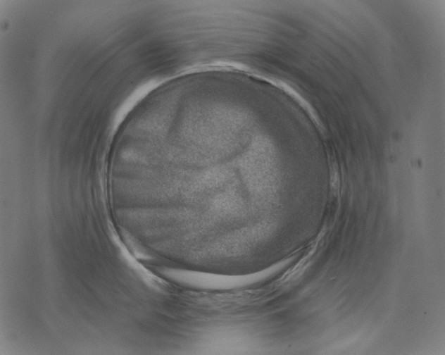 X0000074211054200609151551