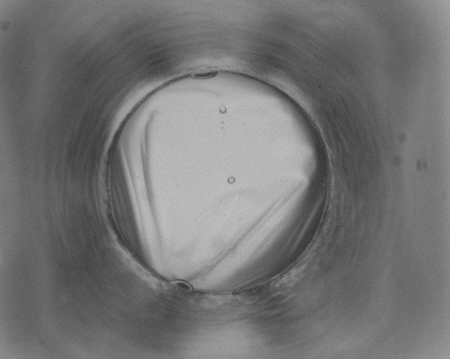 X0000074211056200609151551