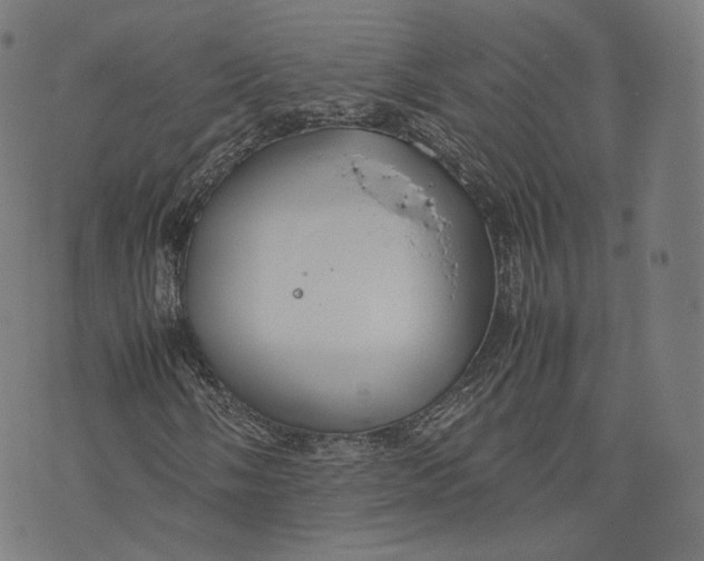 X0000074211058200609151550