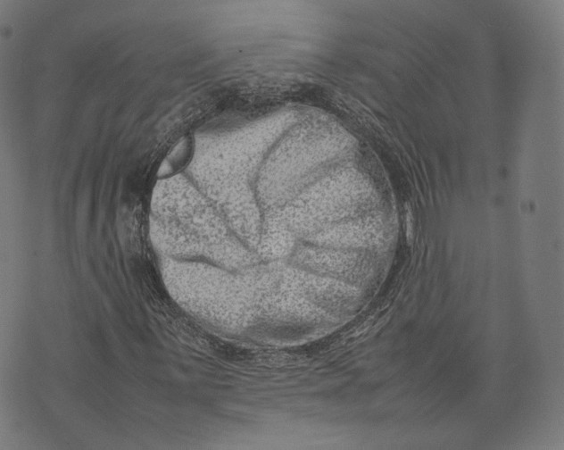 X0000074211059200609151550