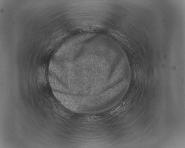 X0000074211060200609151550