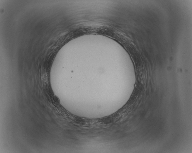 X0000074211061200609151550