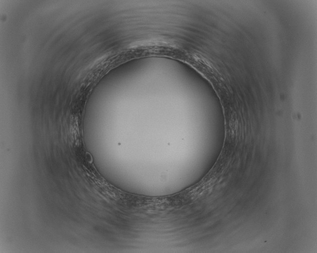 X0000074211062200609151550