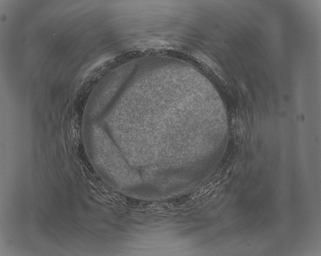 X0000074211063200609151550