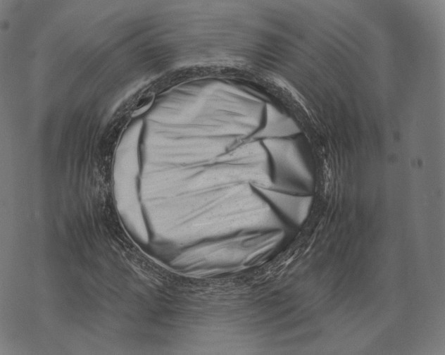 X0000074211064200609151550