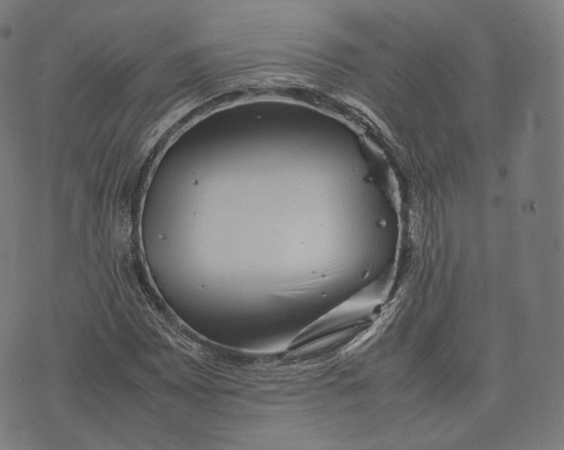 X0000074211065200609151550