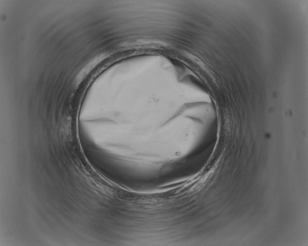 X0000074211066200609151550