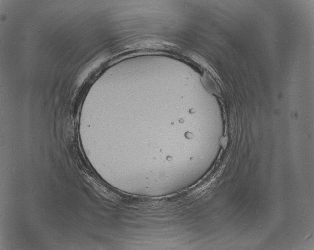 X0000074211067200609151550