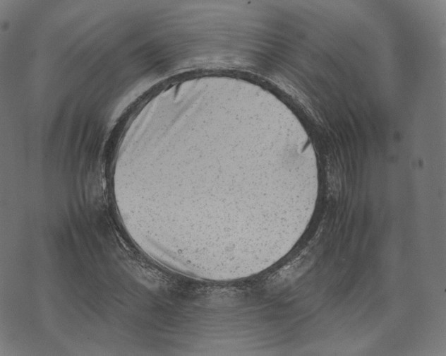 X0000074211070200609151550