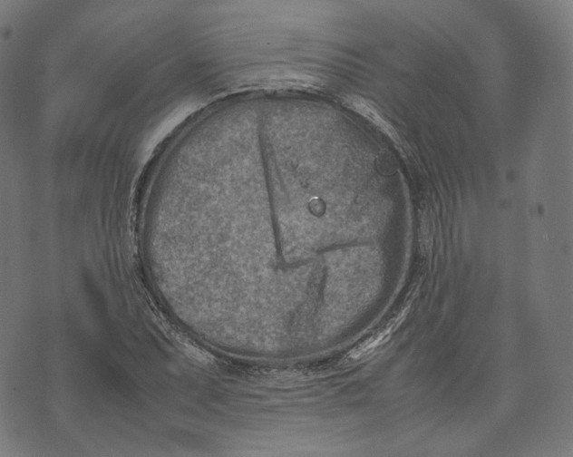 X0000074211071200609151550