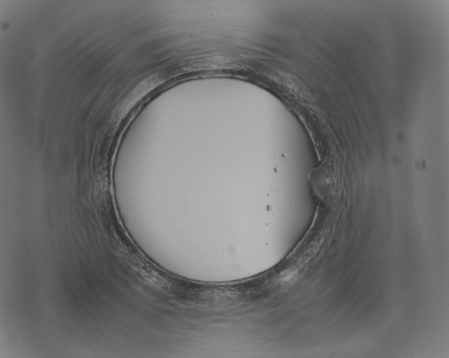 X0000074211073200609151550