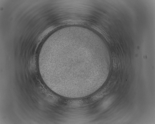 X0000074211074200609151550