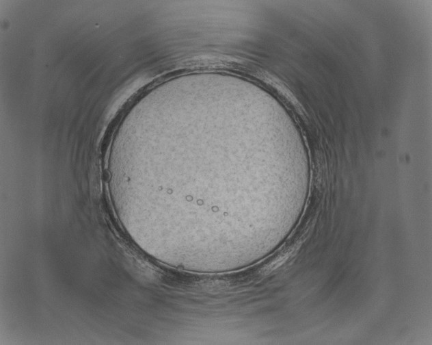 X0000074211075200609151550