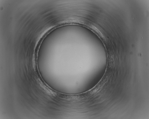 X0000074211076200609151550